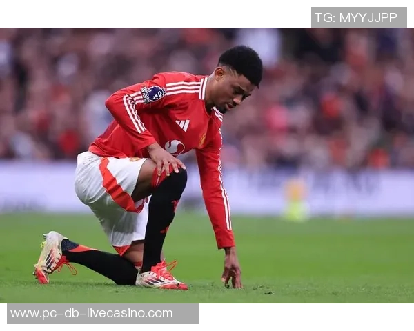 球叮足球带你领略精彩赛事瞬间与球员背后的故事 球叮足球带你领略精彩赛事瞬间与球员背后的故事